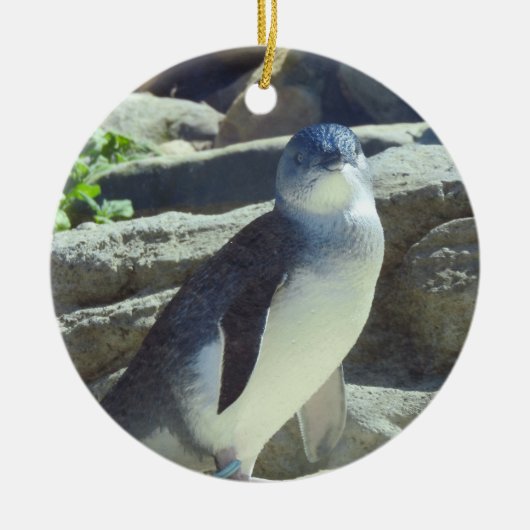 Pinguin Keramik Ornament (Vorne)