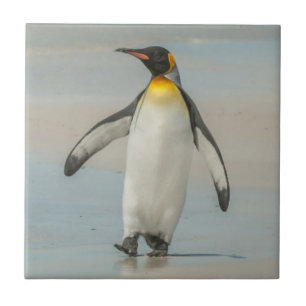 Pinguin läuft am Strand entlang Fliese