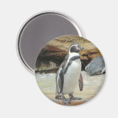 Pinguin Magnet (Vorderseite/Rückseite)