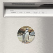 Pinguin Magnet (In Situ (Geschirrspüler))