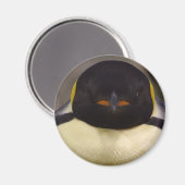 Pinguin Magnet (Vorderseite/Rückseite)