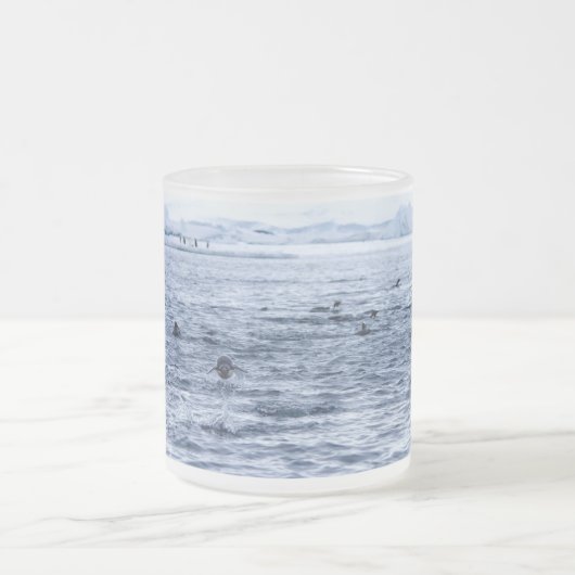 Pinguin Mattglastasse (Mittel)