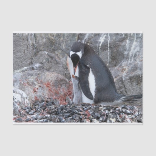 Pinguin mit Küken Seidenpapier (Vorderseite)