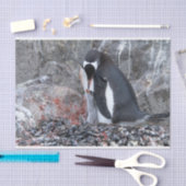 Pinguin mit Küken Seidenpapier (Handwerk)