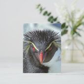 Pinguin mit roten Augen Postkarte (Stehend Vorderseite)