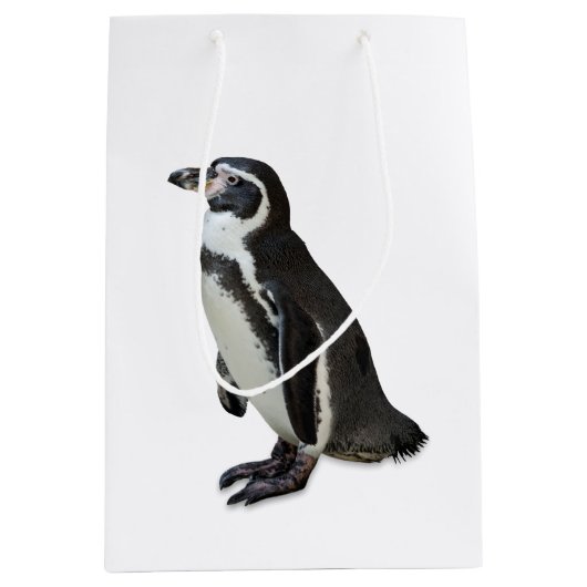 Pinguin Mittlere Geschenktüte (Vorderseite)