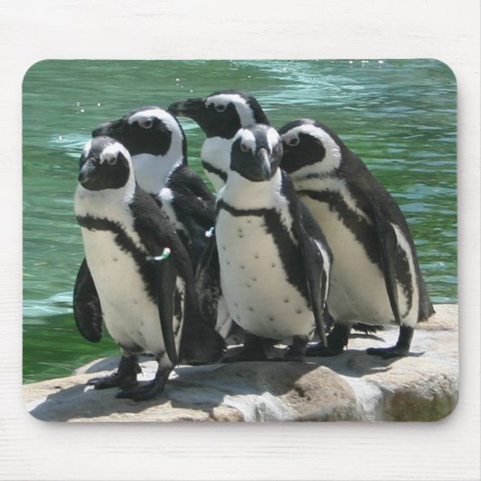 Pinguin Mousepad (Vorne)