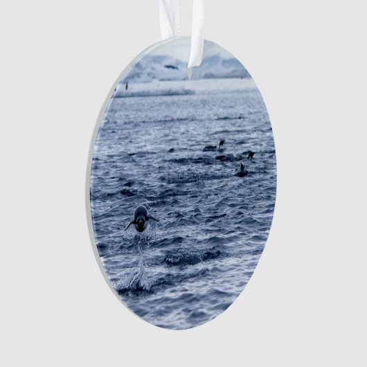 Pinguin Ornament (Vorderseite)