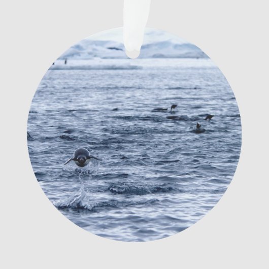 Pinguin Ornament (Vorderseite)