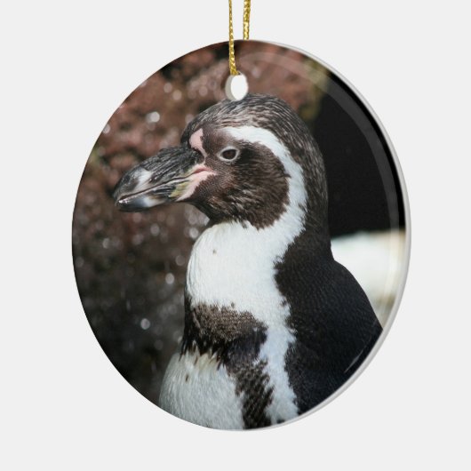 Pinguin Ornament (Links)