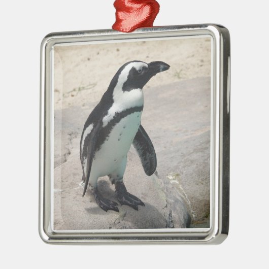 Pinguin Ornament (Links)