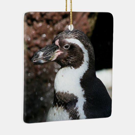 Pinguin Ornament (Rechts)