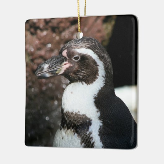 Pinguin Ornament (Links)