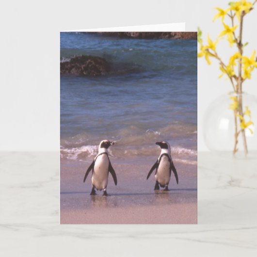 Pinguin-Paare auf der Strand Karte (Gelbe Blume)