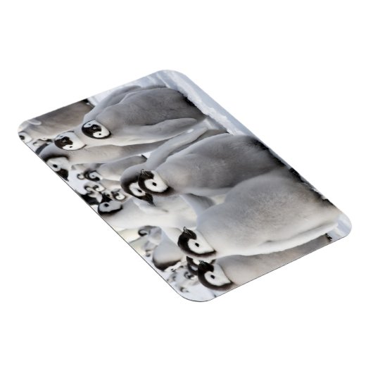 Pinguin Pals Magnet (Rechte Seite)