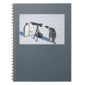 Pinguin-Paparazzi-Notizbuch Notizblock (Vorderseite)