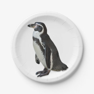 Pinguin Pappteller