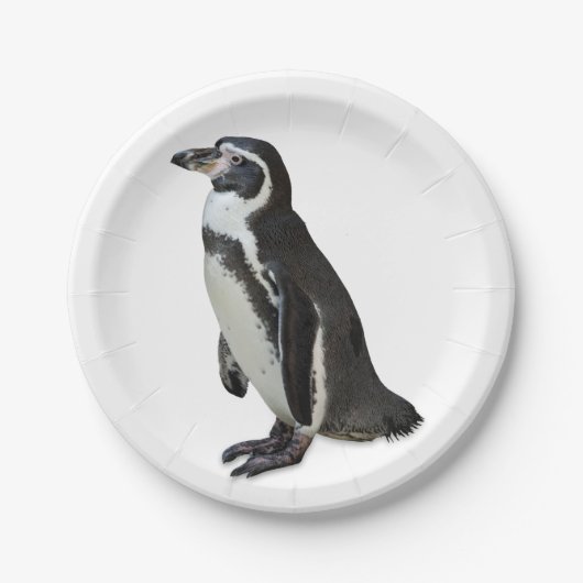Pinguin Pappteller (Vorderseite)