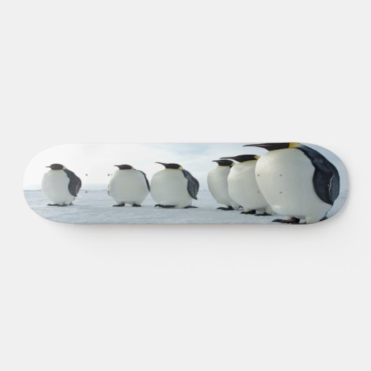 Pinguin-Party Skateboard (Horizontal)
