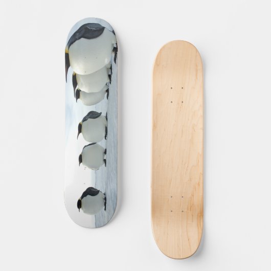 Pinguin-Party Skateboard (Vorderseite)