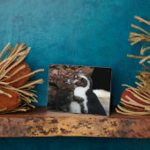 Pinguin Plaque Fotoplatte (Seite)