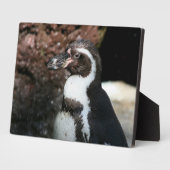 Pinguin Plaque Fotoplatte (Seite)
