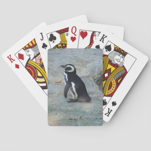 Pinguin Playing Cards Spielkarten (Rückseite)