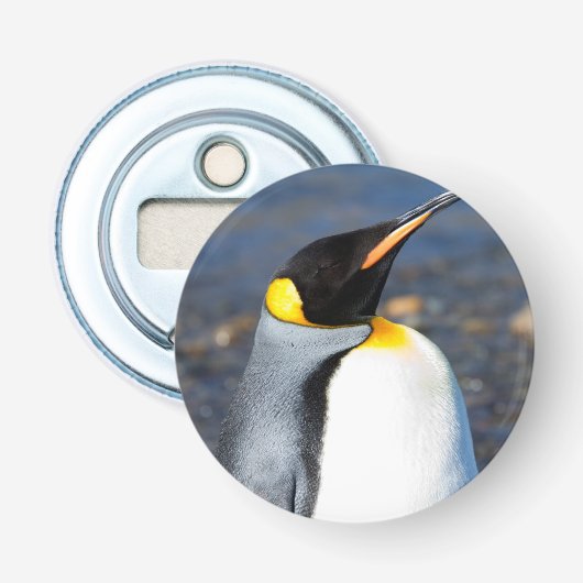 Pinguin-Portrait Flaschenöffner (Vorderseite)