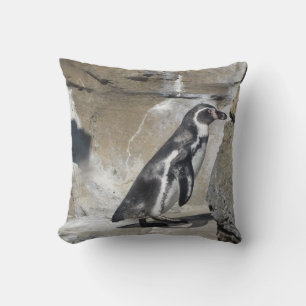 Pinguin posiert kissen