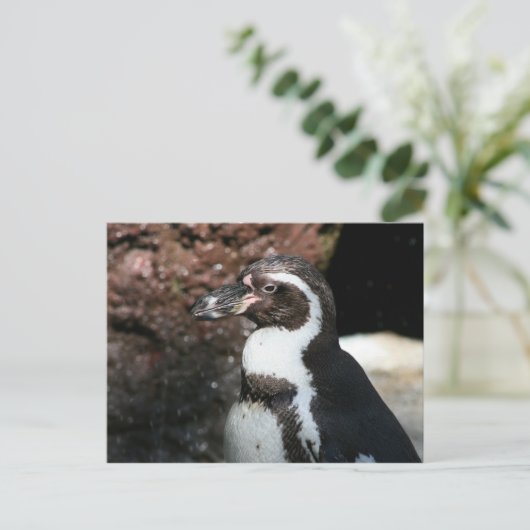 Pinguin Postcard Postkarte (Stehend Vorderseite)