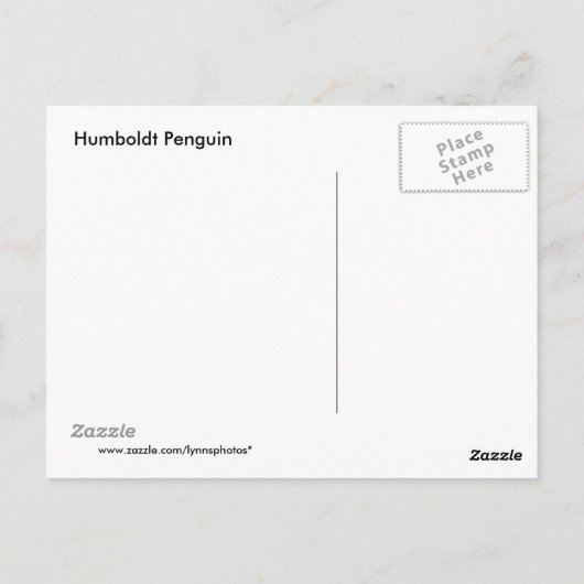 Pinguin Postcard Postkarte (Rückseite)