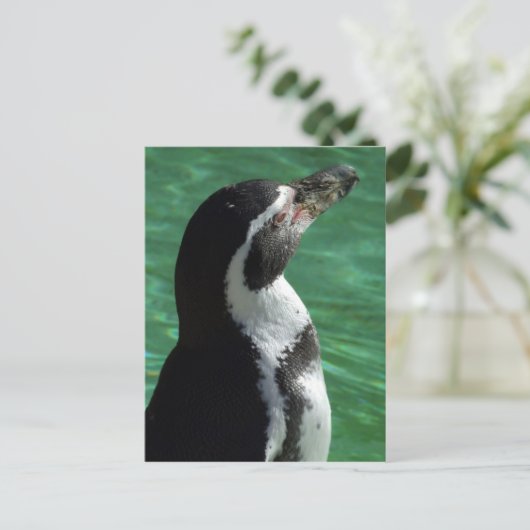 Pinguin Postcard Postkarte (Stehend Vorderseite)