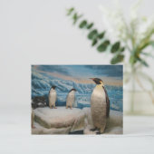 Pinguin Postcard Postkarte (Stehend Vorderseite)