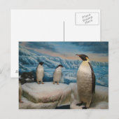 Pinguin Postcard Postkarte (Vorne/Hinten)