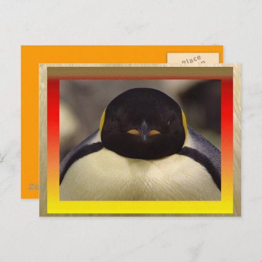 Pinguin Postcard Postkarte (Vorne/Hinten)