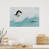 Pinguin Poster (Küche)