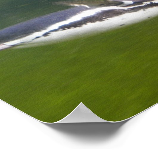 Pinguin Poster (Ecke)