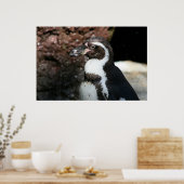 Pinguin Poster (Küche)