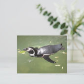 Pinguin Postkarte (Stehend Vorderseite)