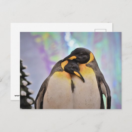 Pinguin Postkarte (Vorne/Hinten)