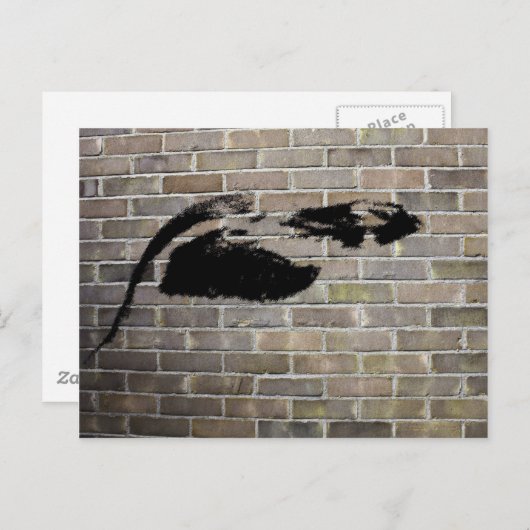 Pinguin Postkarte (Vorne/Hinten)