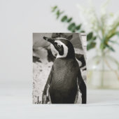 Pinguin Postkarte (Stehend Vorderseite)