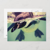 Pinguin Postkarte (Vorne/Hinten)