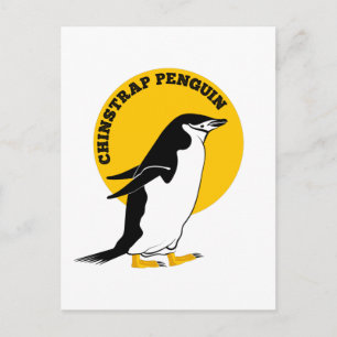 Pinguin Postkarte