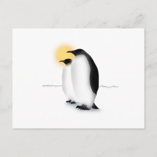 Pinguin Postkarte