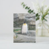 Pinguin Postkarte (Stehend Vorderseite)