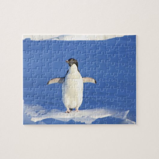 Pinguin Puzzle (Horizontal)