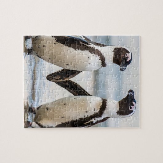 Pinguin Puzzle (Horizontal)