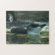 Pinguin Puzzle
