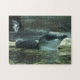 Pinguin Puzzle